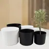 Maceta de Plástico Melamina Estilo Minimalista Popular para Decoración de Interiores, Adorno para Sala de Estar con Planta Verde, Planta en Maceta de Imitación Porcelana, Pieza de Decoración Simple