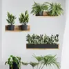 Adesivos de Parede Autoadesivos Criativos 3D de Planta Verde Vasos Sala de Estar Estante Layout Adesivos Decorativos BR0419C