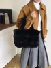 Bolso Peludo de Moda, Bolso de Hombro tipo Burbuja de Peluche Estilo Perezoso para Niña, Bolso de Mano Cubo de Alta Calidad para Otoño e Invierno