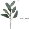 Flores Artificiais DIY Galhos Curtos Eucalipto Simulado Transfronteiriço Eucalipto Decorativo com Fruto Folhas de Eucalipto Plantas Verdes Simuladas