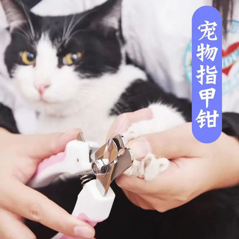 狗指甲钳