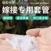 Capa de Silicone para Enxertia de Mudas de Árvores Frutíferas e Hortaliças Personalizada pelo Fabricante Tubo de Enxertia para Pimenta, Maracujá, Tomate