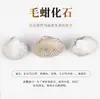 Fósiles Paleontológicos Auténticos Naturales, Fósiles de Trilobites y Dinosaurios, Corales de Espuma, Amonites, Adornos Decorativos de Colección