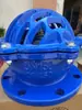 H42X-10/16Q Válvula de Pé com Flange de Ferro Fundido Válvula de Retenção Válvula de Pé para Bomba d'Água Novo Tipo de Válvula de Pé Válvula de Retenção Válvula de Pé de Sucção