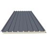 Aleación de Aluminio Gran Muro Aislante Térmico Panel Grande Pabellón Solárium Techo de Placa de Aluminio Doble Capa Cóncavo-Convexo Insonorizado Acero Color Refugio para la Lluvia Teja de Aluminio