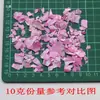 Fragmentos de concha Fragmentos brilhantes de madrepérola Glitter para nail art Adesivos para celular DIY Acessórios para joias DIY