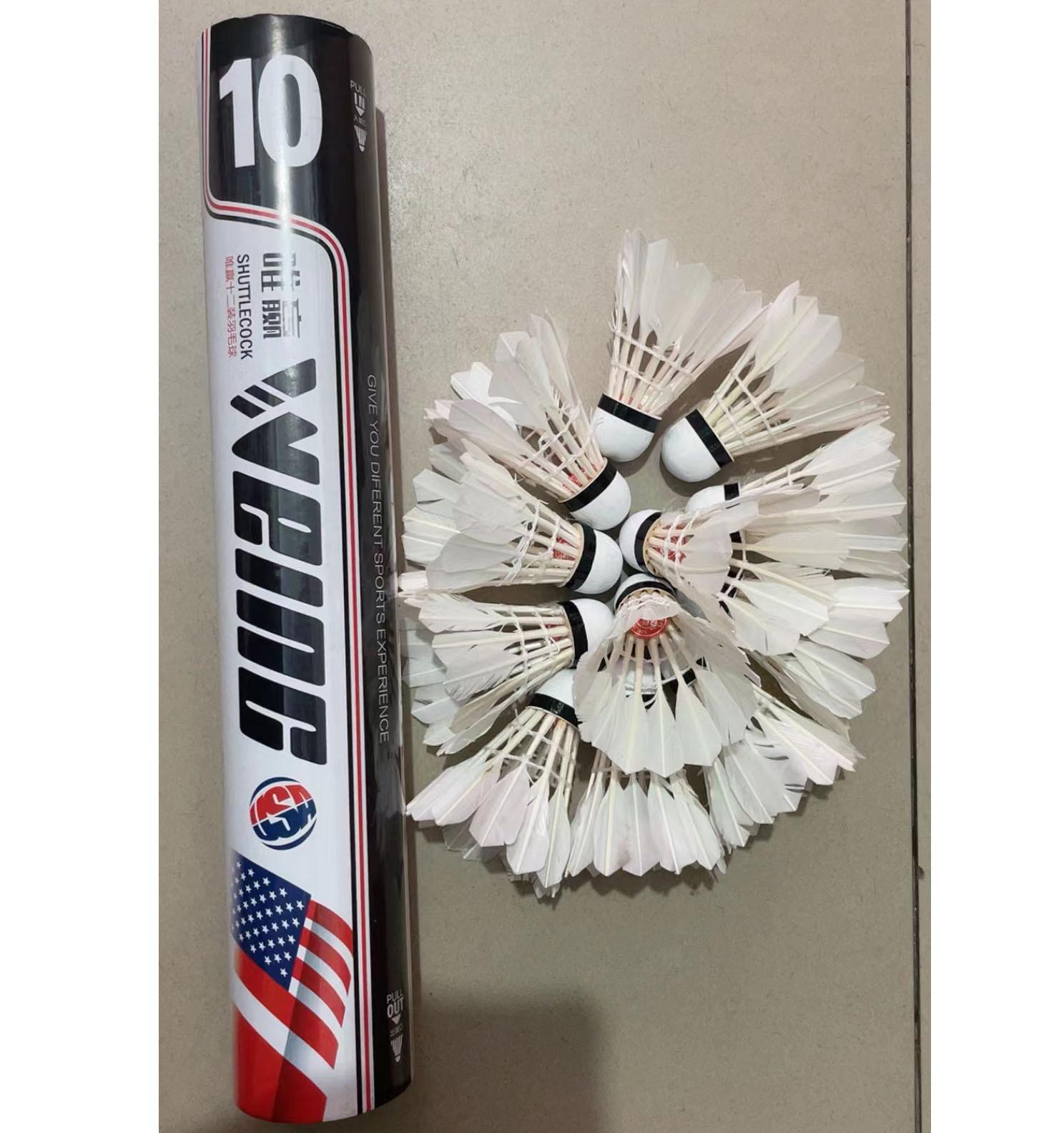 微信图片_20240411094507