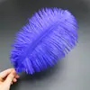30-35cm Plumas de Avestruz Lámpara de Plumas Arreglo Floral de Plumas de Avestruz Plumas de Boda