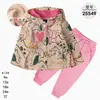 Comercio Exterior Ropa Infantil Primavera y Otoño Conjunto Infantil de Dos Piezas Material Sudadera Sudadera con Capucha Ropa Infantil para Bebés Ropa de Salida [Al por Mayor]