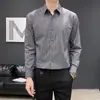 Camisa riscada cinza para homens, de manga comprida, camisa casual de negócios para primavera e outono, resistente a rugas, toque de alta qualidade, camisa de manga curta