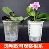 Macetas de Plástico para Uso Doméstico, Macetas con Almacenamiento de Agua, Macetas Transpirables que Controlan las Raíces, Macetas Blancas Transparentes para Flores Phalaenopsis, Macetas de Autorriego