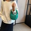 2023 nuevo bolso nube plisado transfronterizo bolso de personalidad popular de este año para mujer invierno nicho chaqueta acolchada de algodón bolso de mano marea de mujer