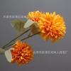 Suministro directo de fábrica bola de flor de simulación crisantemo 3 flores artificiales adornos de decoración de boda cabeza de flor de champán ramo del Día Nacional flores de seda