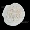 Flor de Cinco Hojas Transparente Dos Tonos Estampado en Caliente DIY Accesorios para Joyería Material Hecho a Mano Accesorios Pasador Joyería Estilo Antiguo Pétalos