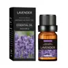 Óleo Essencial de Aromaterapia Desodorizante Transfronteiriço 10ml Máquina de Aromaterapia para Interior Fragrância Duradoura Óleo Essencial de Lavanda para Massagem