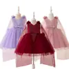Vestido Infantil Novo Transfronteiriço, Saia de Tule com Cauda de Princesa, Traje de Performance Moderno Sem Mangas, Vestido Tutu de Passarela, Vestido de Noite