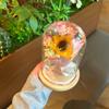 Bouquets Prácticos y de Alta Gama de Flores Preservadas para Amigas durante la Temporada de Graduación, Regalos de Cumpleaños para Novias y Madres, Regalos para el Día del Maestro
