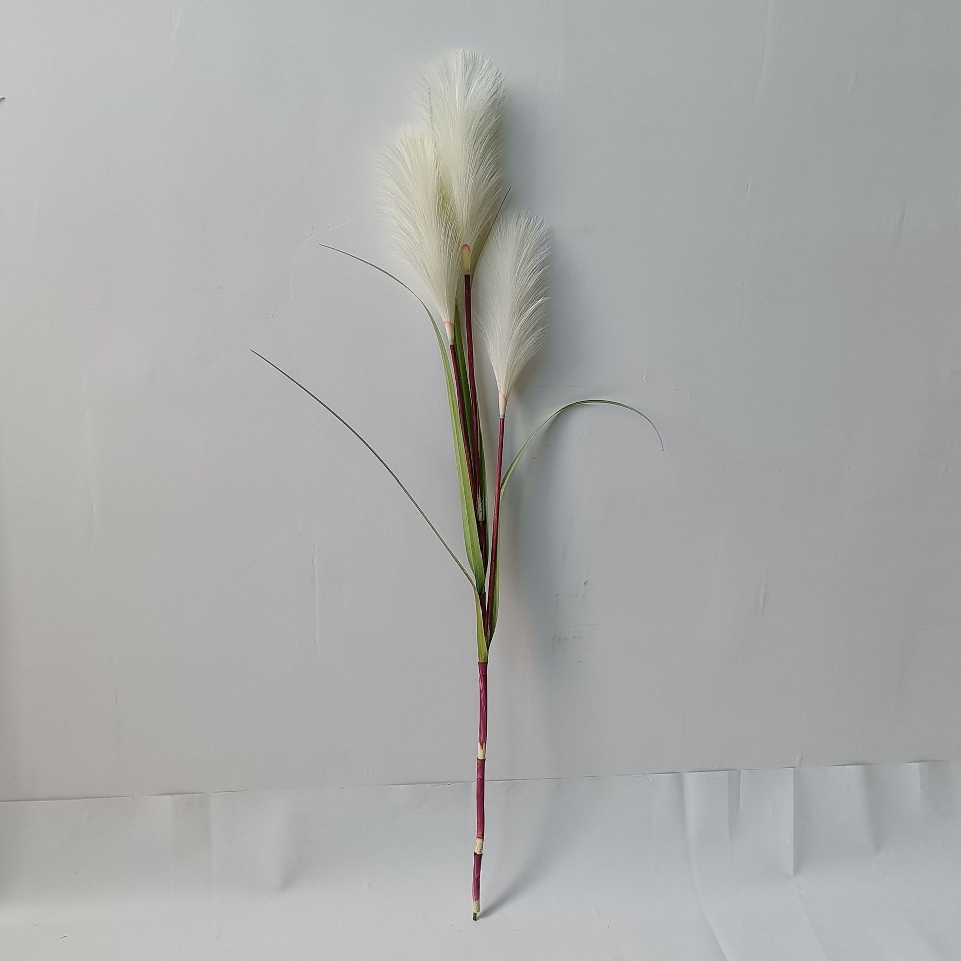 1.2米3头芦苇套管3.jpg