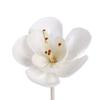 Atacado Personalizado Flor Tongcao Sem Fogo Aromaterapia Volátil Acessórios Palavras de Fragrância Flores Expansoras de Fragrância Flores Secas