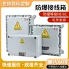 Caja de conexiones a prueba de explosiones 300 Se pueden pedir varias cajas a prueba de explosiones, personalizadas Otras herramientas de desmontaje