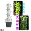 Balcón estilo confuciano cultivo sin suelo lechuga ensalada columna vertical hidropónico plantación tridimensional sistema de plantación torre de ducha