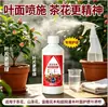 Solución Nutritiva Especial para Camellias en Maceta, Promueve la Floración, Previene el Amarillamiento de las Hojas y la Caída de Brotes, Adecuada para Plantas Acidófilas, Fertilizante Líquido Soluble en Agua