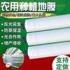 Película de Acolchado para Uso Agrícola, Película de Acolchado para Plantación de Hortalizas, Película de Plástico, Película Protectora Decorativa Agrícola Blanca, Aislamiento Térmico Invernadero Material PE