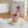 Compatible con Bloques de Lego, Plantas en Maceta de Partículas Micro de Suculentas Florales, Juguetes de Ensamblaje de Flores, Regalos para Niñas y Niños, Mayoreo