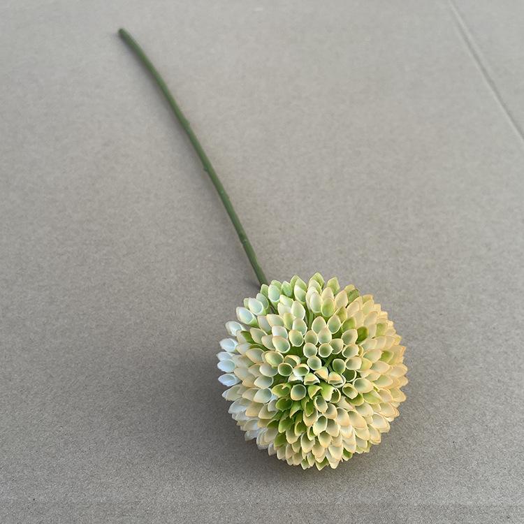 蜂巢果-黄色-2.5.jpg