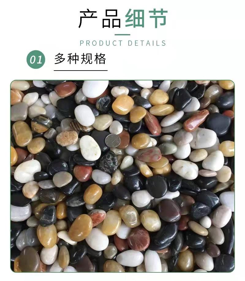 微信图片_202109091531444