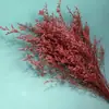Yunnan atacado amor eterno grama flores secas buquê decoração de casa fábrica flutuante reed presente decoração de casamento