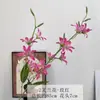 Flor Artificial Orquídea de 2 Galhos Flor de Linha Planta Rabo de Tigre Decoração de Casamento Casa Flor Artificial Hotel Estúdio de Fotografia Arranjo Adereço Flor
