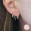 Plata de Ley S925 ins Arete de Cadena de Moda Pendientes de Hebilla para la Oreja Pendientes Transfronterizos Europeos y Americanos de Venta Caliente Temperamento Pendientes Personalizados para Mujeres