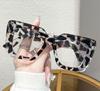 Óculos de Sol Europeus e Americanos Novos Estilo Gatinho Modernos Leves com Lentes Planas para Homens Versáteis de Venda Transfronteiriça Óculos Simples Tendência para Mulheres