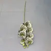 Flor Artificial Phalaenopsis Souvenir Película de Impresión 3D Alta Calidad Phalaenopsis Rizado Estilo Decorativo Exquisito Boda