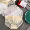 Pantis de encaje semitransparentes para mujer, verano, chica sexy, malla transpirable, sin costuras, entrepierna de algodón puro, bragas para mujer temu