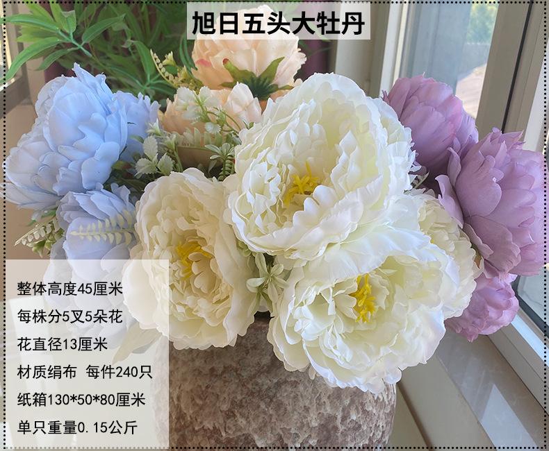 产品信息图-1.jpg