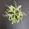 Flores artificiais de seda da lírio-aranha, arranjos florais realistas, buquês, acessórios de cabelo DIY e fabricante de materiais de decoração