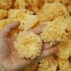 Produção em Massa de Tremella (Cogumelo Branco) de Agricultores em Gutian, Tremella de Flor Grande, Fornecimento Direto da Origem, Disponível para Dropshipping