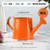 Regalo de agradecimiento por el Día del Maestro: regadera de hierro para jardineros, adecuada para regar, floristería, ramo de flores, arreglo floral, decoración floral