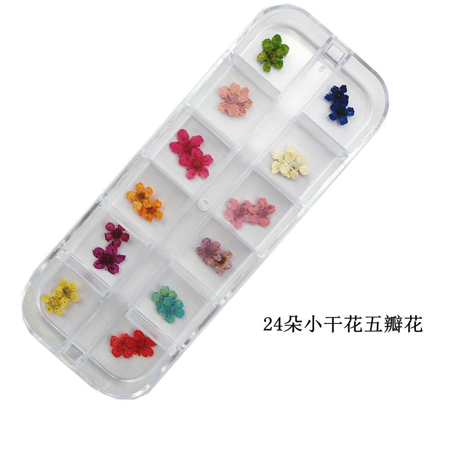 24多小干花