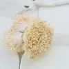 Estames de malte pistilos bastões retorcidos materiais feitos à mão fondant gesso flor de lótus flor de veludo flores embrulhadas centros de flores amarelas