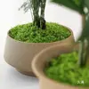 Grama de Musgo Biónica Artificial Musgo Falso Micro Paisagismo Decoração Gramado Bonsai Plantado em Vaso Pavimentação Paisagismo