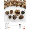 Virutas de Madera, Materiales de Cáscara de Fruta, Especímenes de Plantas Taibao, Piñas, Paquetes de Materiales de Flores Secas para Manualidades, Bellotas Hechas a Mano, Taibao