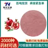 Fabricantes fonte pó de romã vermelha grau alimentício 99% extrato de pó de fruta matéria-prima para bebida sólida de romã em estoque fornecimento