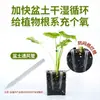 Tubo de Ventilação para Solo de Vaso Premium, Tubo Respirável, Dispositivo Anti-Apodrecimento de Raízes, Tubo de Ventilação para Solo de Vaso para Vasos de Flores e Bonsai