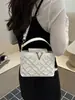 2026 Verão Nova Bolsa Transversal de Ombro Único Moda Personalidade Casual Pequena Quadrada Textura Simples Para o Dia a Dia Atacado Bolsas Femininas