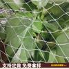 Malla Anti-Pájaros de Nylon para Viñedos, Malla Anti-Pájaros para Estanques de Peces, Malla Anti-Pájaros Especial para Ranas y Loaches, Malla Anti-Granizo, Anti-Envejecimiento