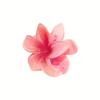 Pinza para el Cabello de Plumeria Colorida Transfronteriza Nueva Pinza de Agarre Degradada Pinza para el Cabello de Pétalos de Flor de Gama Alta Accesorios para el Cabello Pinza de Tiburón para Mujeres