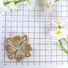 Moda Nueva Transfronteriza Cristal Strass Vidrio 3D Flor de Zapato Vestido de Baile Pasador Decoración Accesorios para Ropa DIY